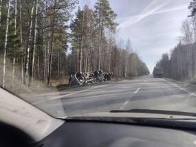 Трагедия на лесной обочине: две жизни оборвались под грузовиком